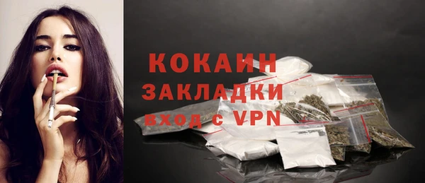 индика Алзамай