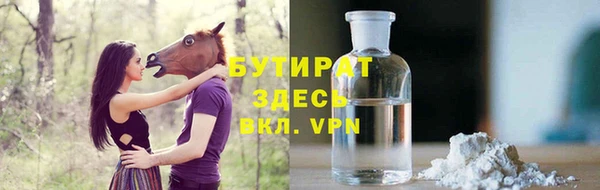 индика Алзамай