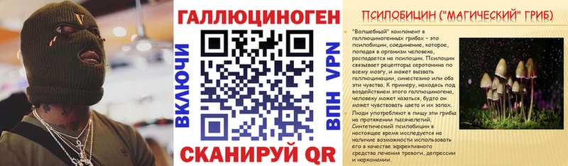Псилоцибиновые грибы Psilocybine cubensis  Балаково 